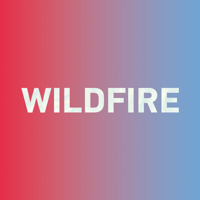 Special: How to say "wildfire 山火" in Chinese?