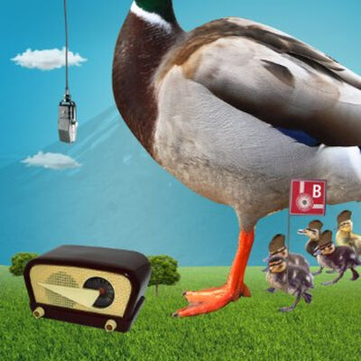 Patitos: los supermegafans