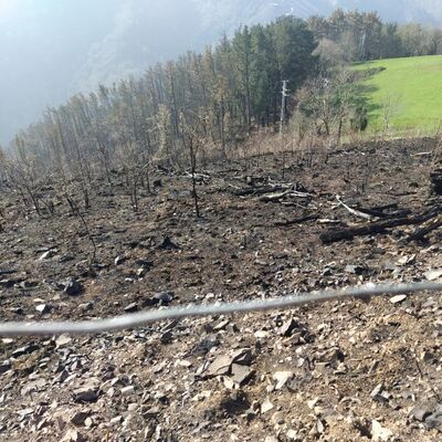 Onda Vasca visita la zona del incendio de Aiako Harria