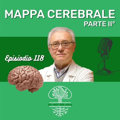 Mappa Cerebrale Parte II°