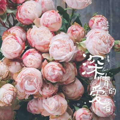 善良的活着，深情的爱着