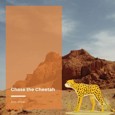 Ep 1: Chase the Cheetah - Bedtime Story By Asia