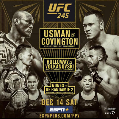 #UFC245 Picks and UFC DC Recap Episode: 190