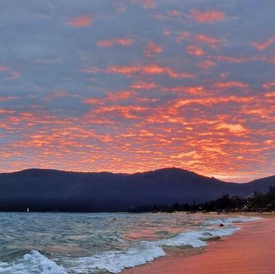  SP. 到山海中去，与自然同频｜夏日亲子游特别节目 