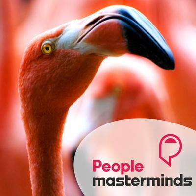 #31 - Terug naar de kantoorjungle, met Kilian Wawoe