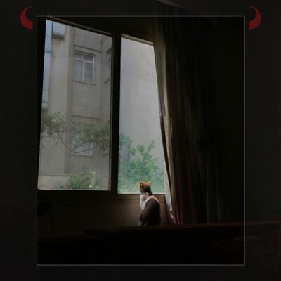 اپیزود چهلم: خانه‌ای که به سینه می‌فشارم