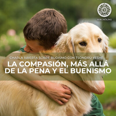 La compasión, más allá de la pena y el buenismo.
