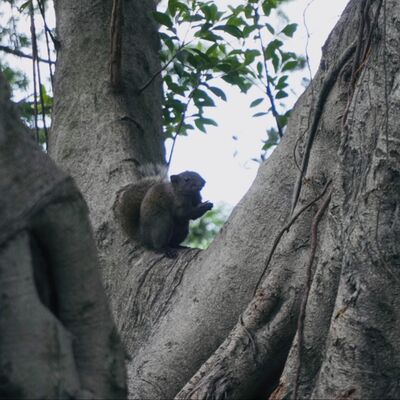 EP16 你看到朋友多的人可能很不快樂（人間失格）