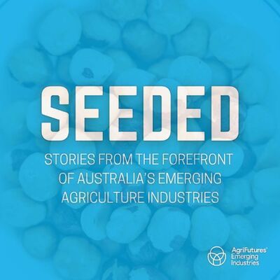 SEEDED: Hazelnuts