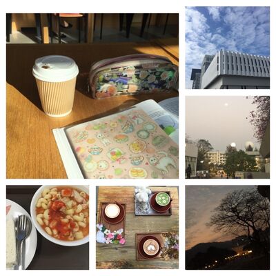 山城小事| Reminiscing CUHK Campus