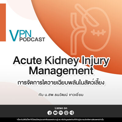 VPN Podcast EP.57 - การจัดการไตวายเฉียบพลันในสัตว์เลี้ยง