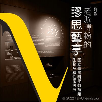 S3 EP23｜6:00 am 窗外的麻雀在電線桿上多嘴