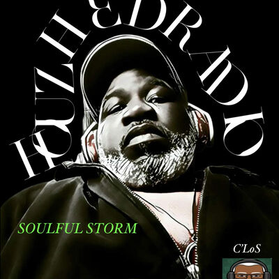 Episode 17: HOUZHEDRADIO "SOULFUL STORM"