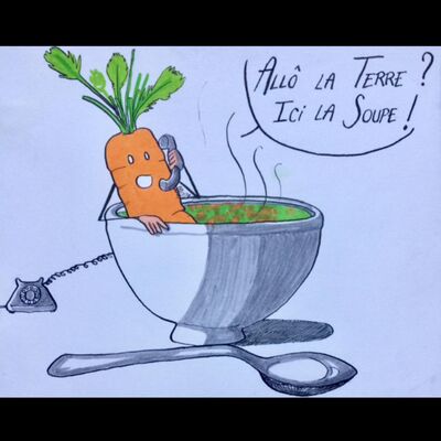 Point News : Mouvements citoyens, Justice, Énergies renouvelables (24/11/2020)