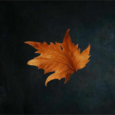 Session #46 - Autumn 2022