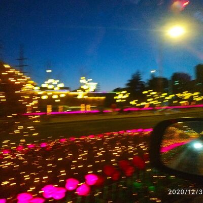 赏析席慕蓉的诗——雾起时——雾散后却已是一生