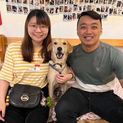 Ep86《浪浪別哭X棉襖》無悔的決定，養狗養到無法出門工作是怎樣~~~