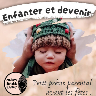 #33 Petit précis d'avant les fêtes...