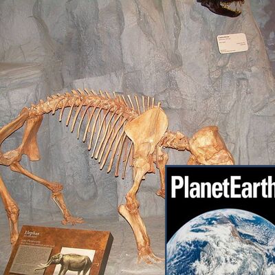 Air pollution, dwarf elephants and water footprints. - Planet Earth Podcast - 12.03.27