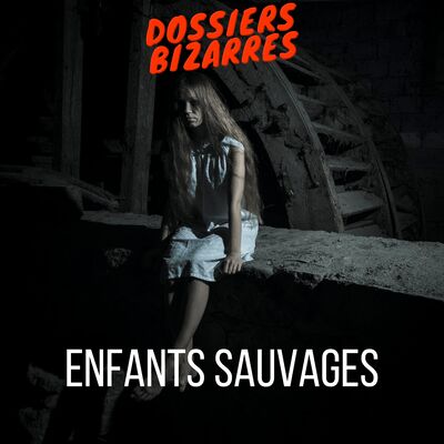 Les Enfants Sauvages