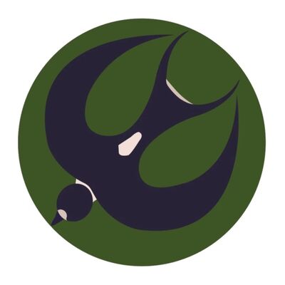  Episode 204: 行旅闲聊之鸟人鸟语 2.0 