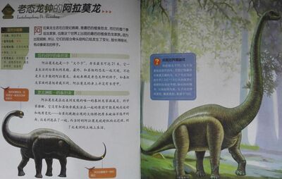 植食恐龙_43老态龙钟的阿拉莫龙