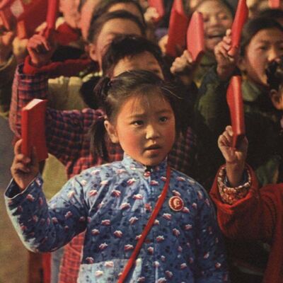 Bombard the Past: Exhuming the Cultural Revolution