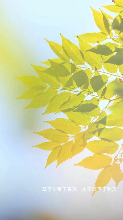 聽說深情的人，都有這樣一張明信片