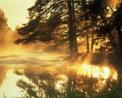 极端空寂 过犹不及