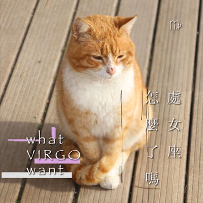 S204_(來訊回覆) 處處不開心，如何安撫他？