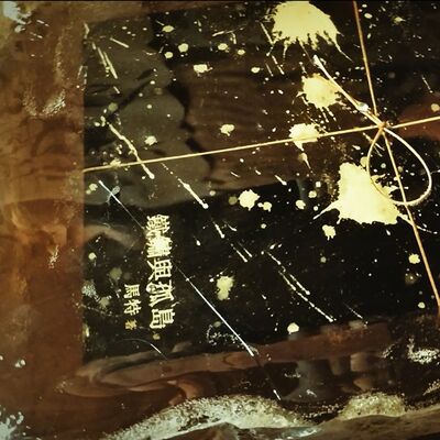 一个悲观者充满创造力和幽默感的这一年