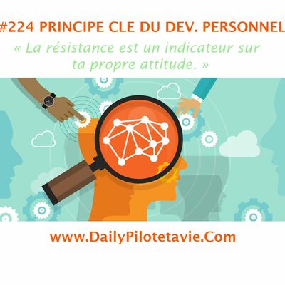 #224 PRINCIP CLE : LA RESISTANCE EST UN INDICATEUR DE TA PROPRE ATTITUDE
