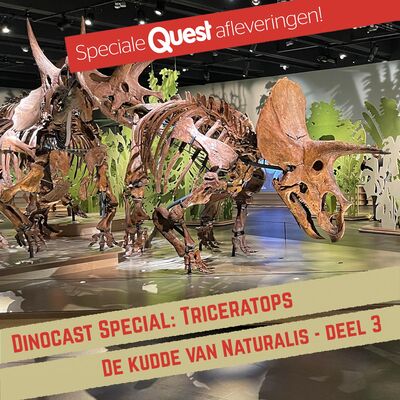 Triceratops: de kudde van Naturalis (deel 3)