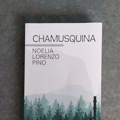 Chamusquina: amor, sexo y ambición en Bidasoaldea