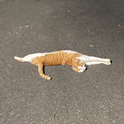 S4EP5<怕你無聊>一個人練習錄音(下)