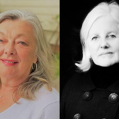 WE CAN’T NOT MENTION IT… : STEPHANIE JOHNSON, FIONA FARRELL (2023)