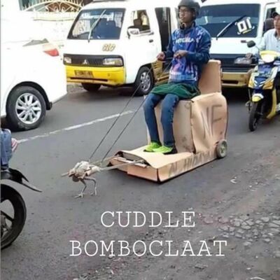 CUDDLE BOMBOCLAAT