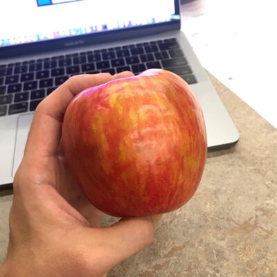 Why Do You Work Out?