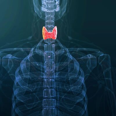 A su salud - Día Mundial Contra el Cáncer de Cabeza y Cuello - 26/07/24