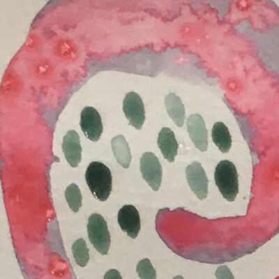 Buurtkruid 9. Klimop 🌿 ‘we hebben klimop-zeep gemaakt’