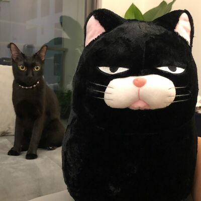 #22 - người lớn FOMO