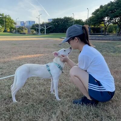 Ep85《浪浪別哭X知恩》因咬人眼睛遭退養，母女三人卻毫不考慮收下？不怕被咬嗎？