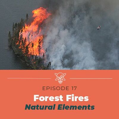 Researching Forest Fires (Natural Elements)