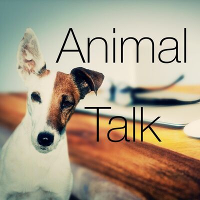 Animal Talk