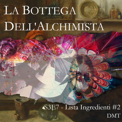 S3E7 - Lista Ingredienti: DMT