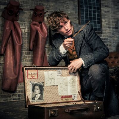 Le Poudcast #53 : La sortie des 'Crimes de Grindelwald'