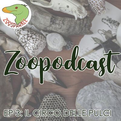 Zoopodcast #3 - Il Circo delle Pulci