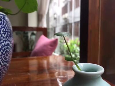 致人类正在消逝的爱情…