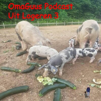 Uit logeren 3 Bij OmaGuus