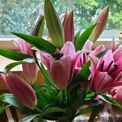 EP.03 蕭邦離別曲之外掛